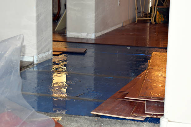 Professional Flood Damage Repair technician working in Lyndhurst, NJ